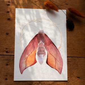 Art-print aquarelle brodée  ‘Papillon crépuscule’
