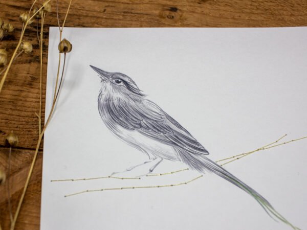 dessin aquarelle poétique oiseau fleuri
