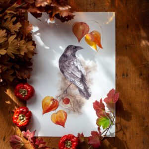 ‘Enguerrand’ – dessin et aquarelle d’un corbeau automnal