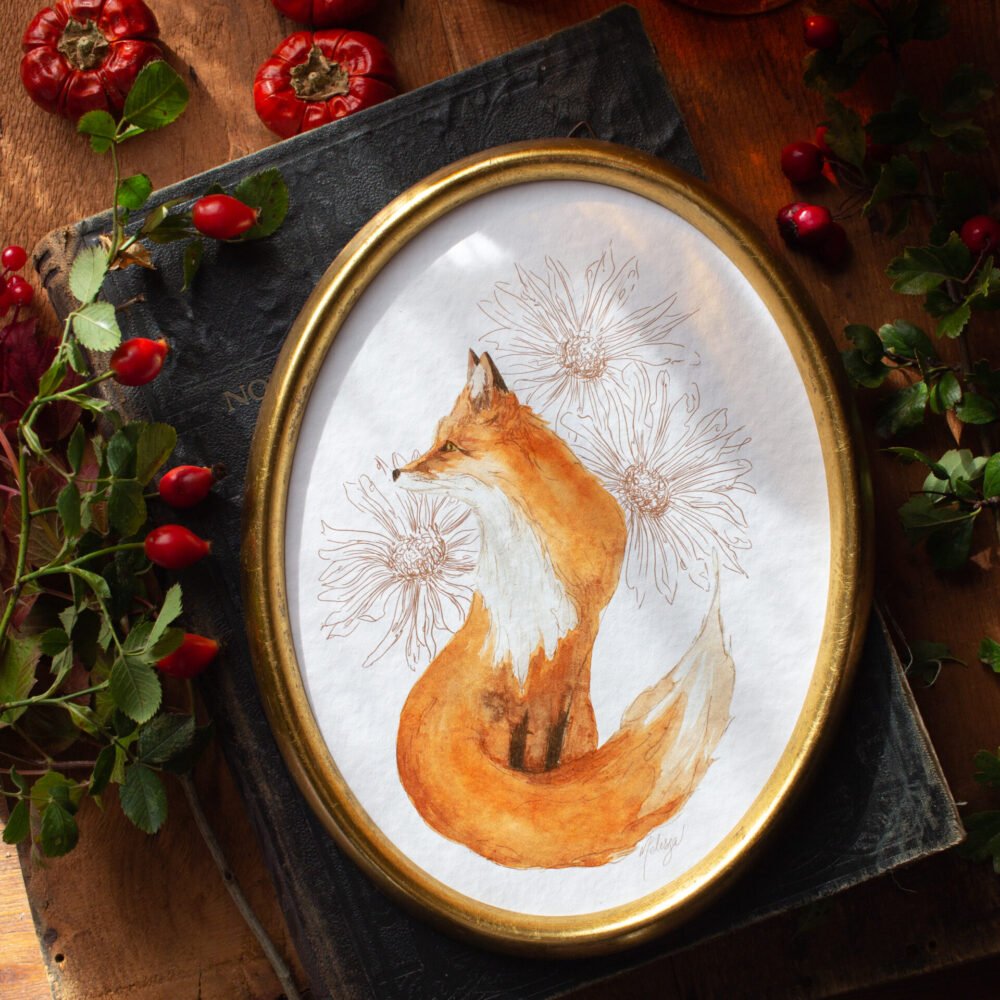 ‘Aster Fox’ – dessin et aquarelle renard
