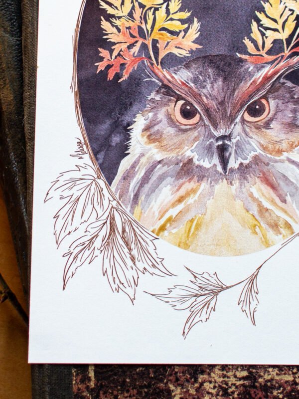 illustration animal fantastique hibou