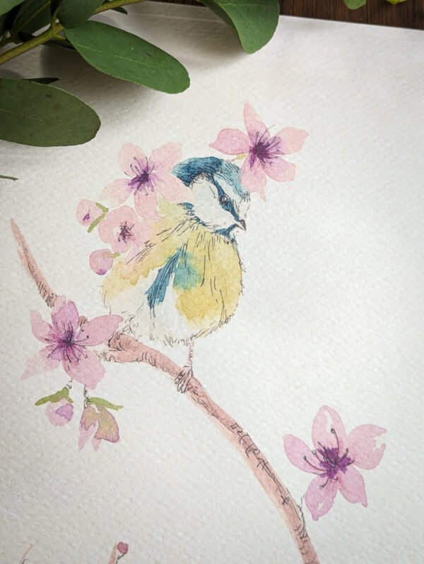aquarelles les oiseaux et les saisons mésange de printemps
