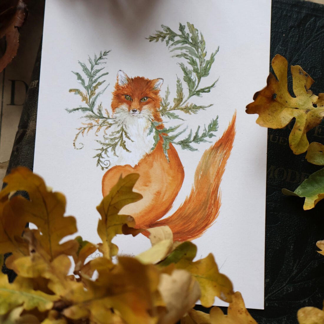 Woodsia vulpicula ou le renard aux fougères - Aquarelle