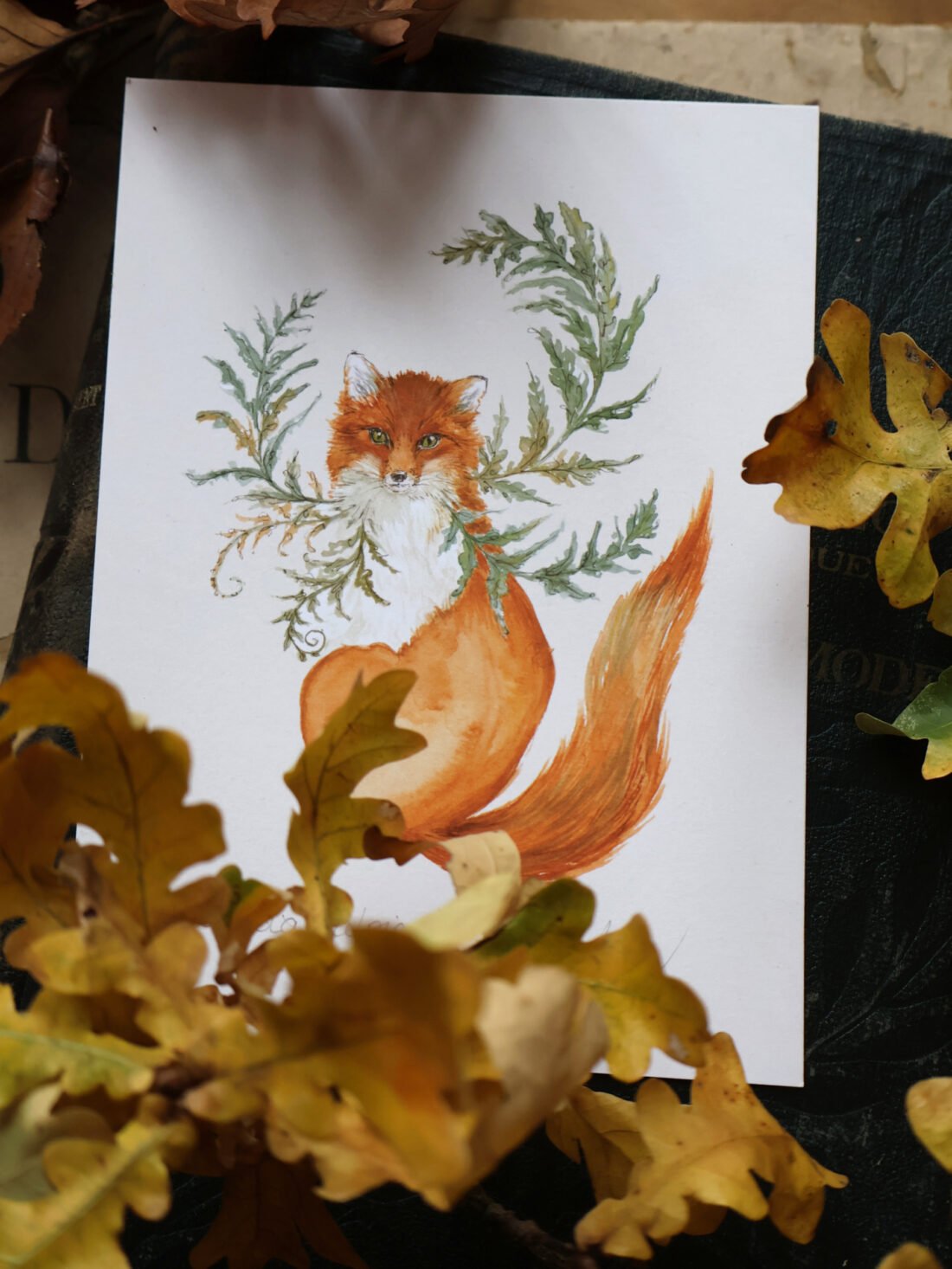 Woodsia vulpicula ou le renard aux fougères - Aquarelle – Image 6