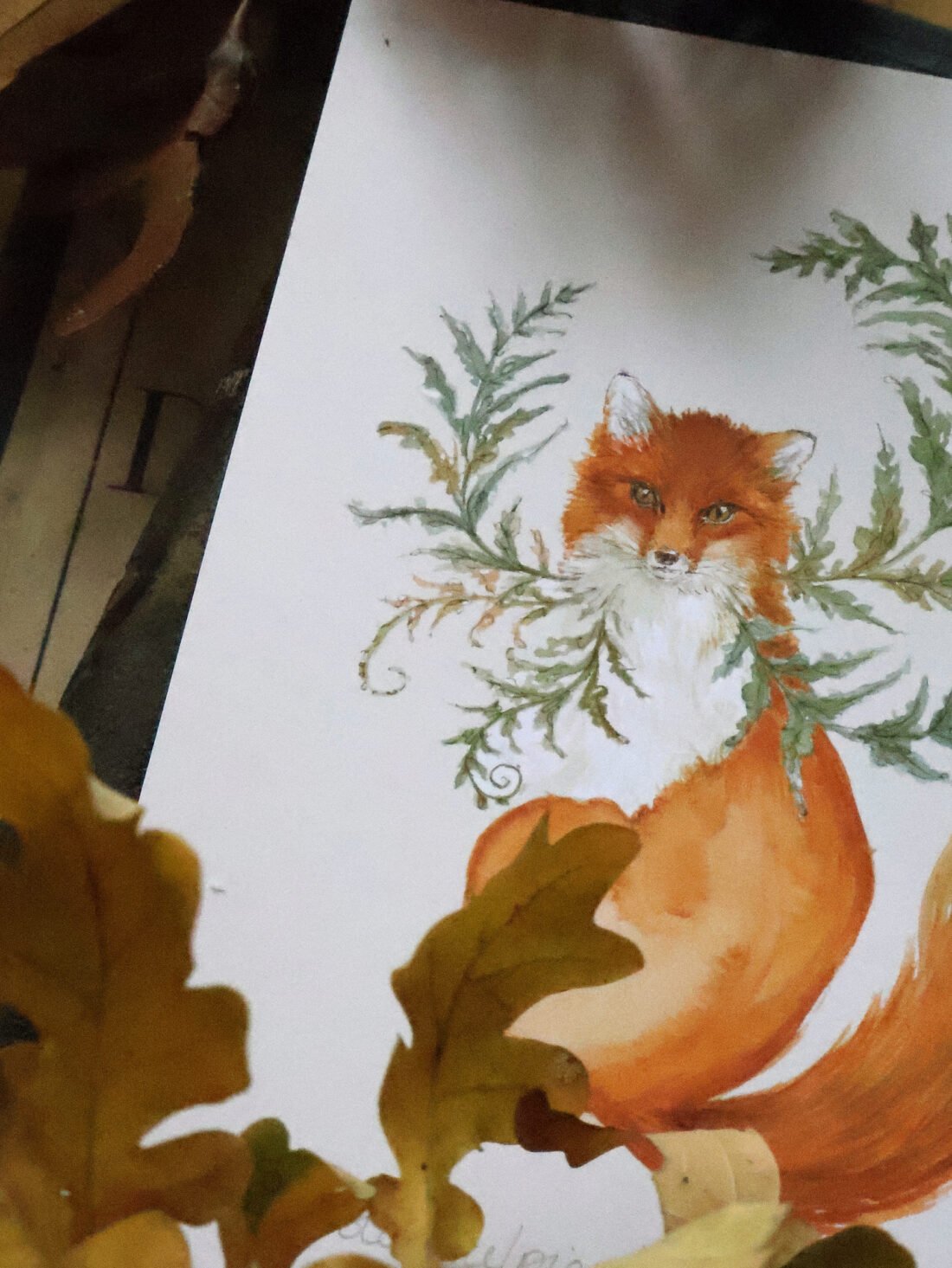 Woodsia vulpicula ou le renard aux fougères - Aquarelle – Image 3