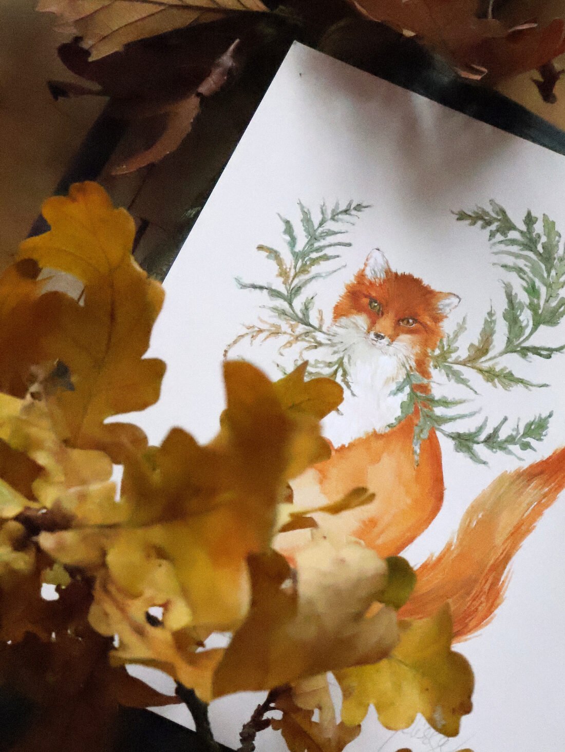 Woodsia vulpicula ou le renard aux fougères - Aquarelle – Image 2