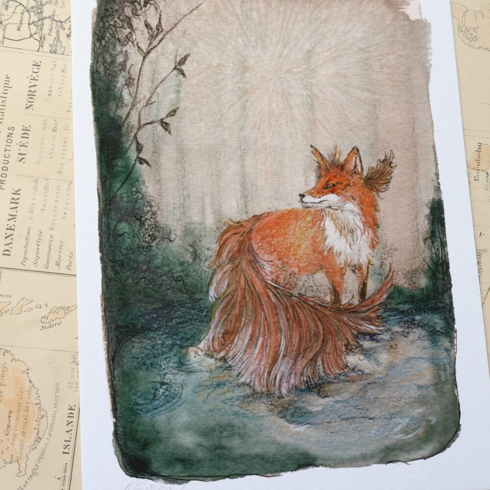 A l’étang – dessin d’observation du renard combattant