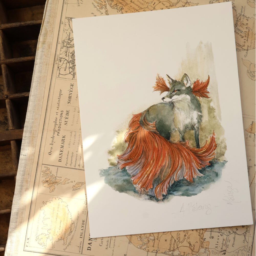 Le renard combattant pacifique – portrait d’un animal fantastique