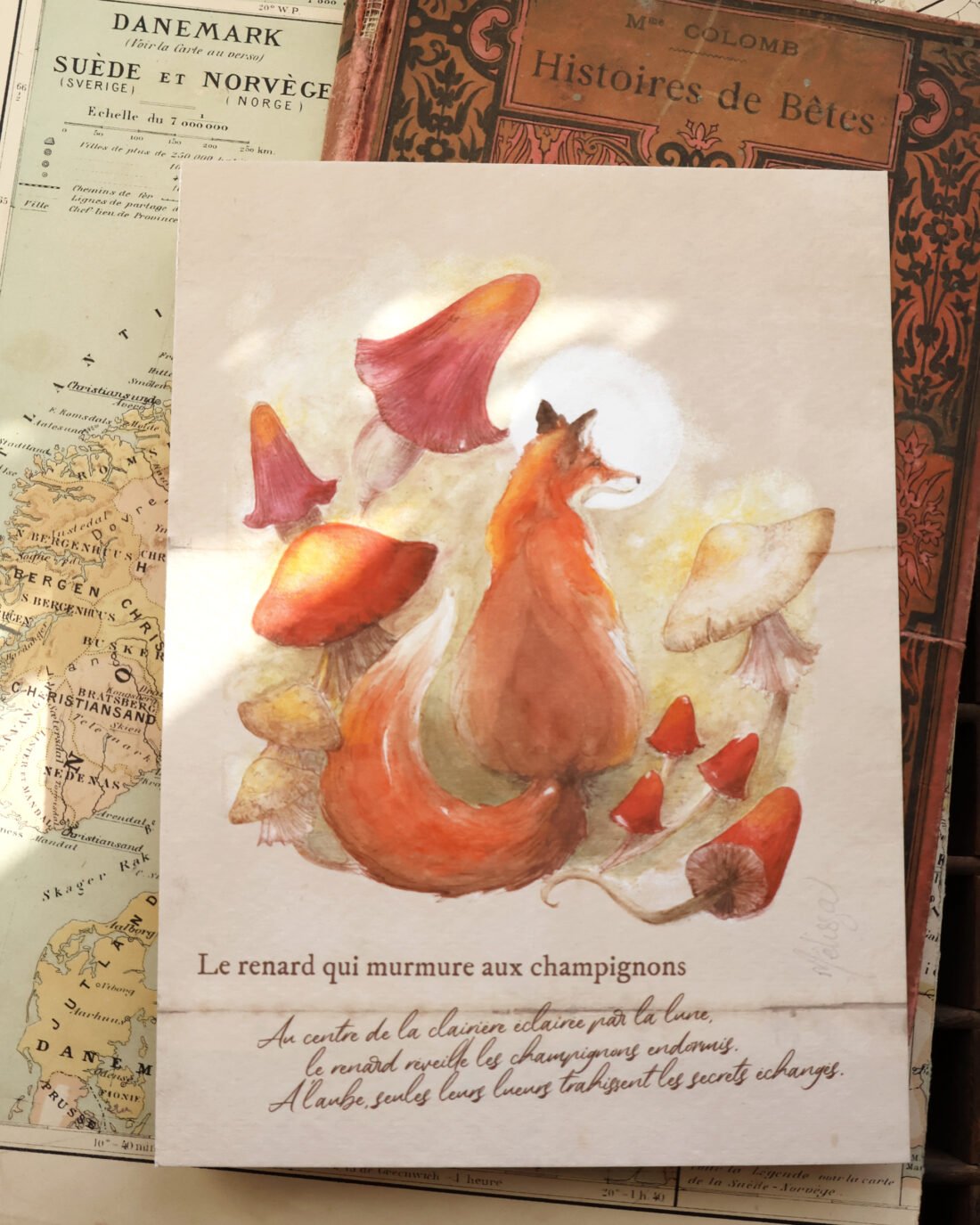 Conciliabule ou le renard qui murmure aux champignons