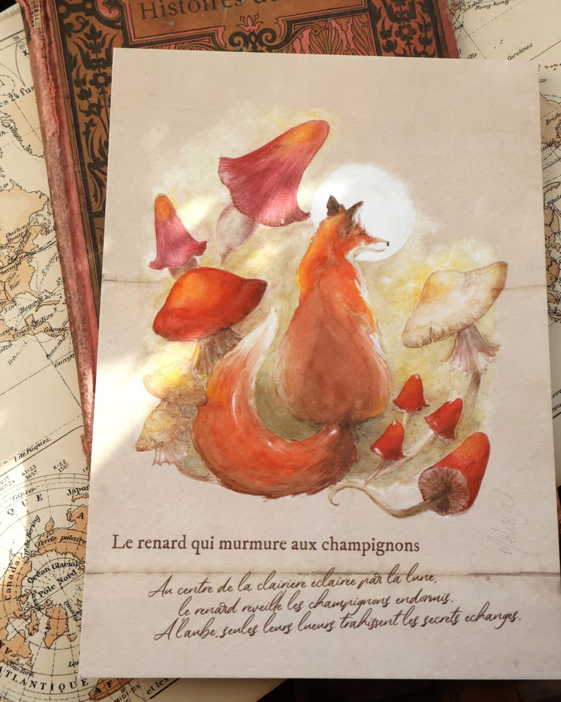 Conciliabule ou le renard qui murmure aux champignons – Image 2