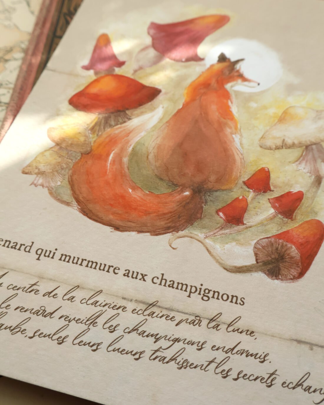 Conciliabule ou le renard qui murmure aux champignons – Image 3