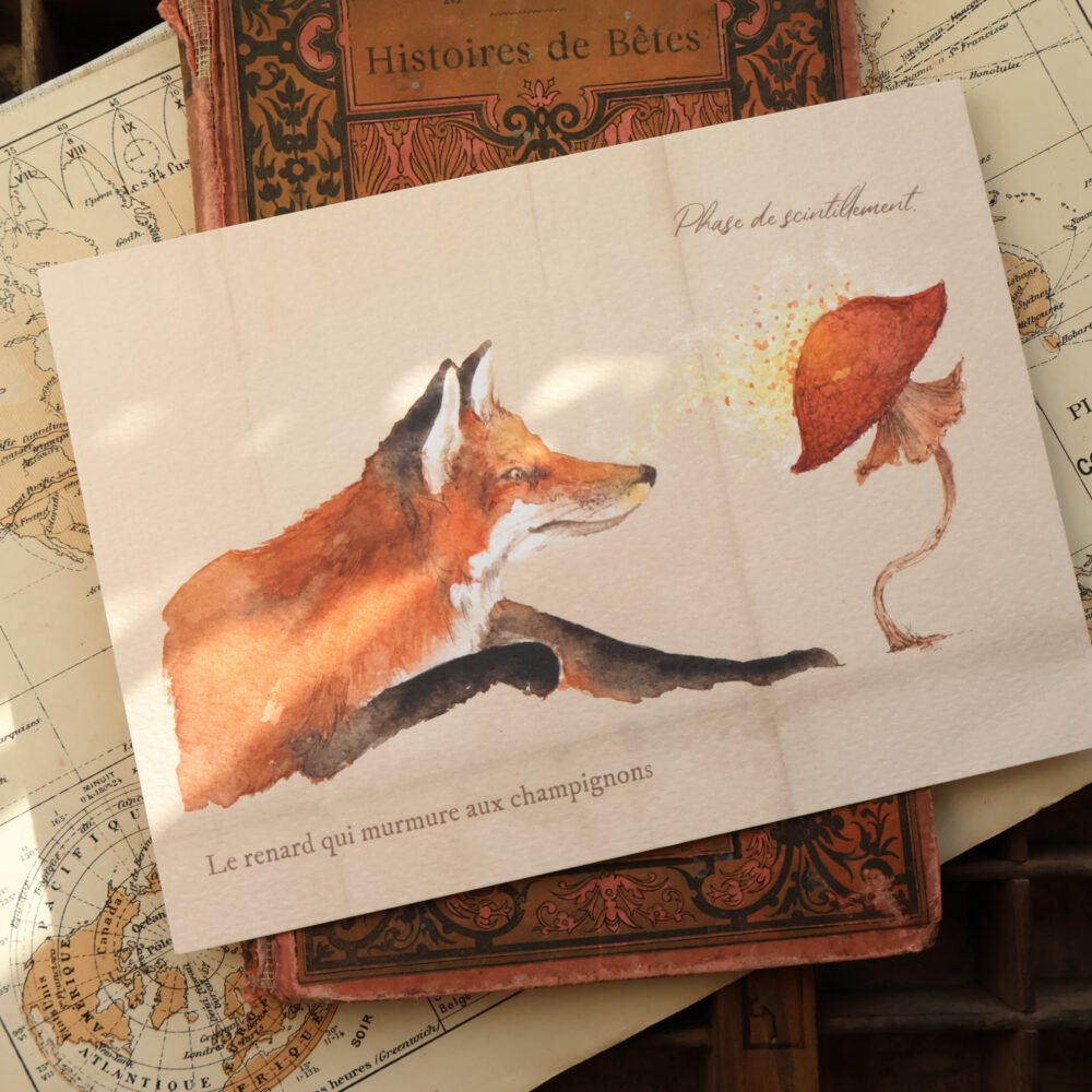 Scintillement. Conte perdu d’un renard et d’un champignon.