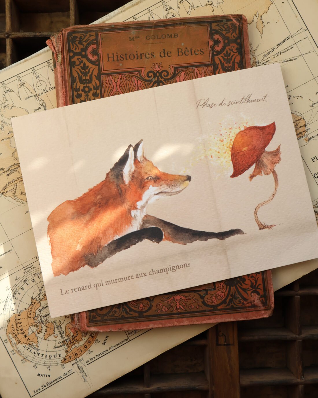 Scintillement. Conte perdu d'un renard et d'un champignon.
