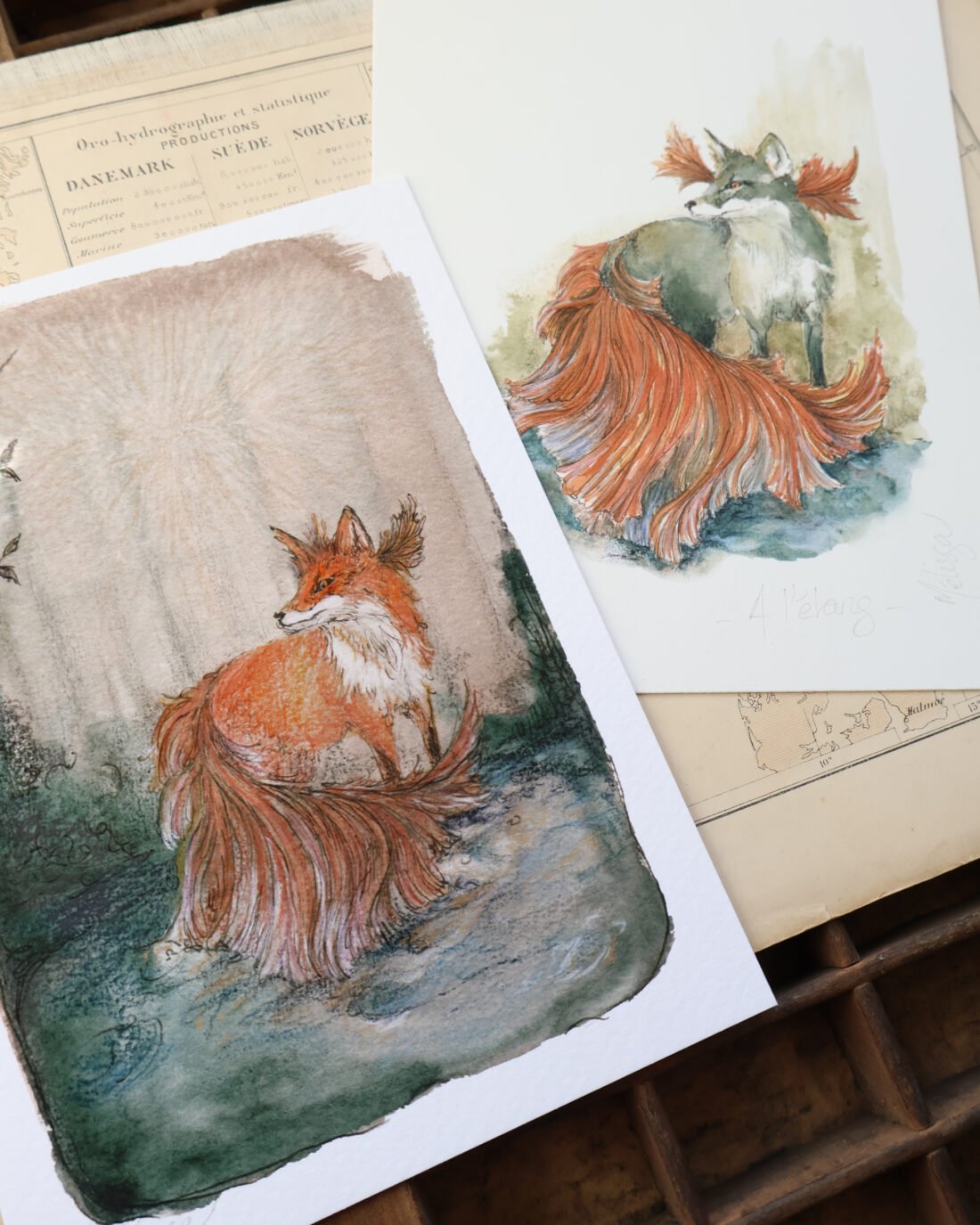 Conte illustré d'un renard combattant à l'étang - 2 affiches