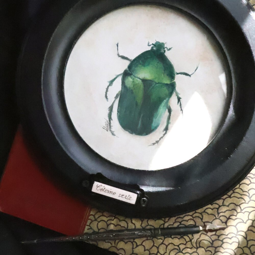 Cétoine verte – aquarelle originale dans un cadre rond « naturaliste »