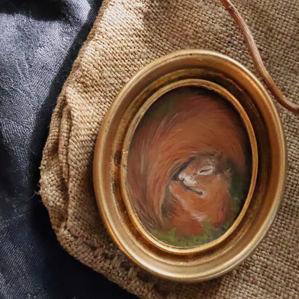 « Chut » – écureuil endormi dans son cadre doré