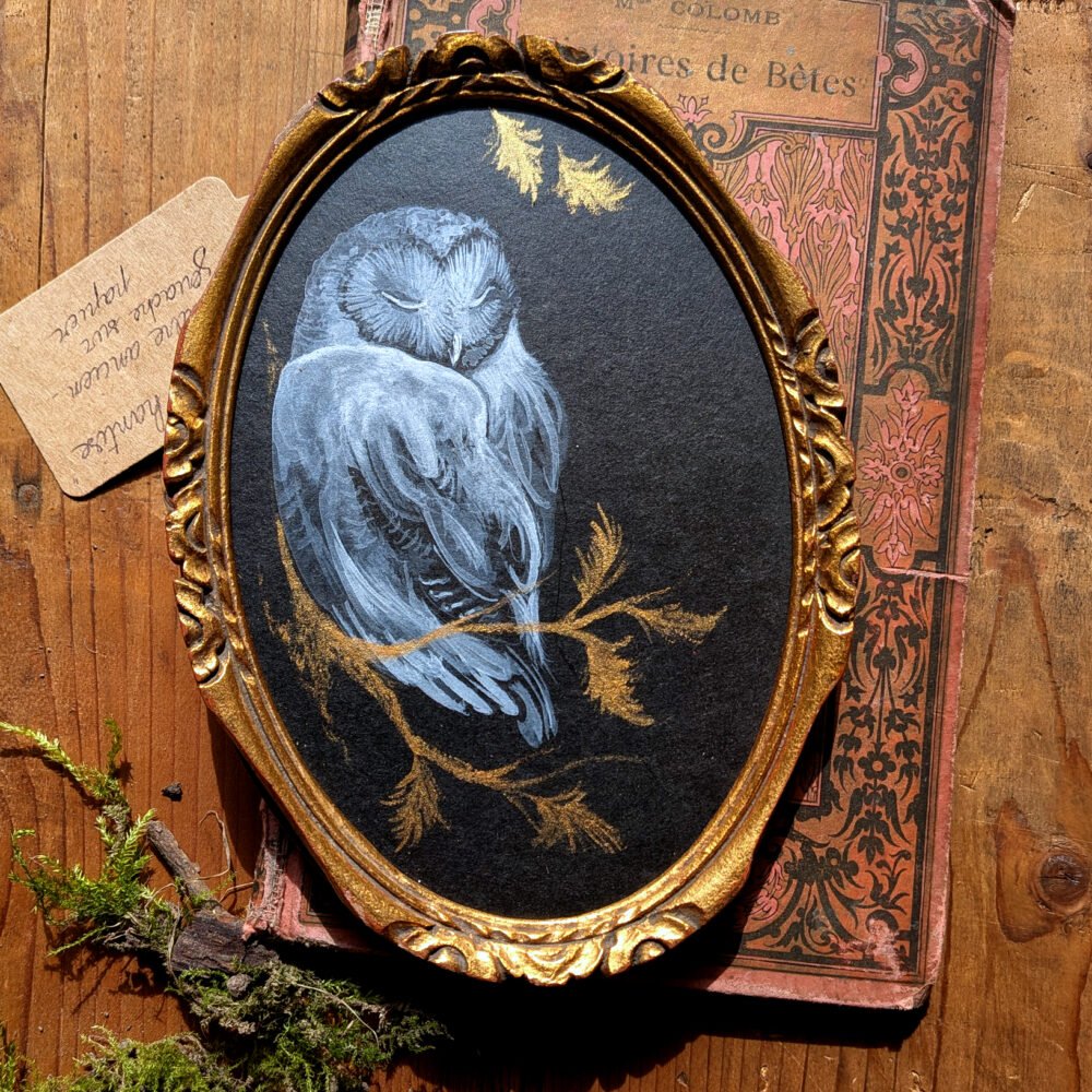 « Douce hantise » Gouache blanche d&rsquo;une chouette effraie