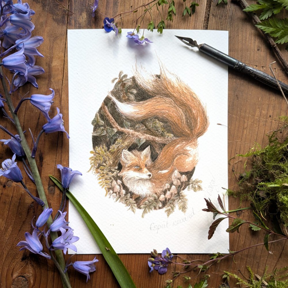 Esprit renard – illustration nostalgique à la plume et aquarelle