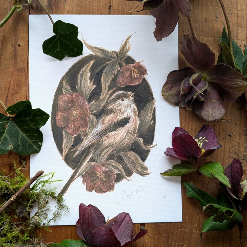 Frimas ou orite aux hellebores – illustration nostalgique à la plume et aquarelle