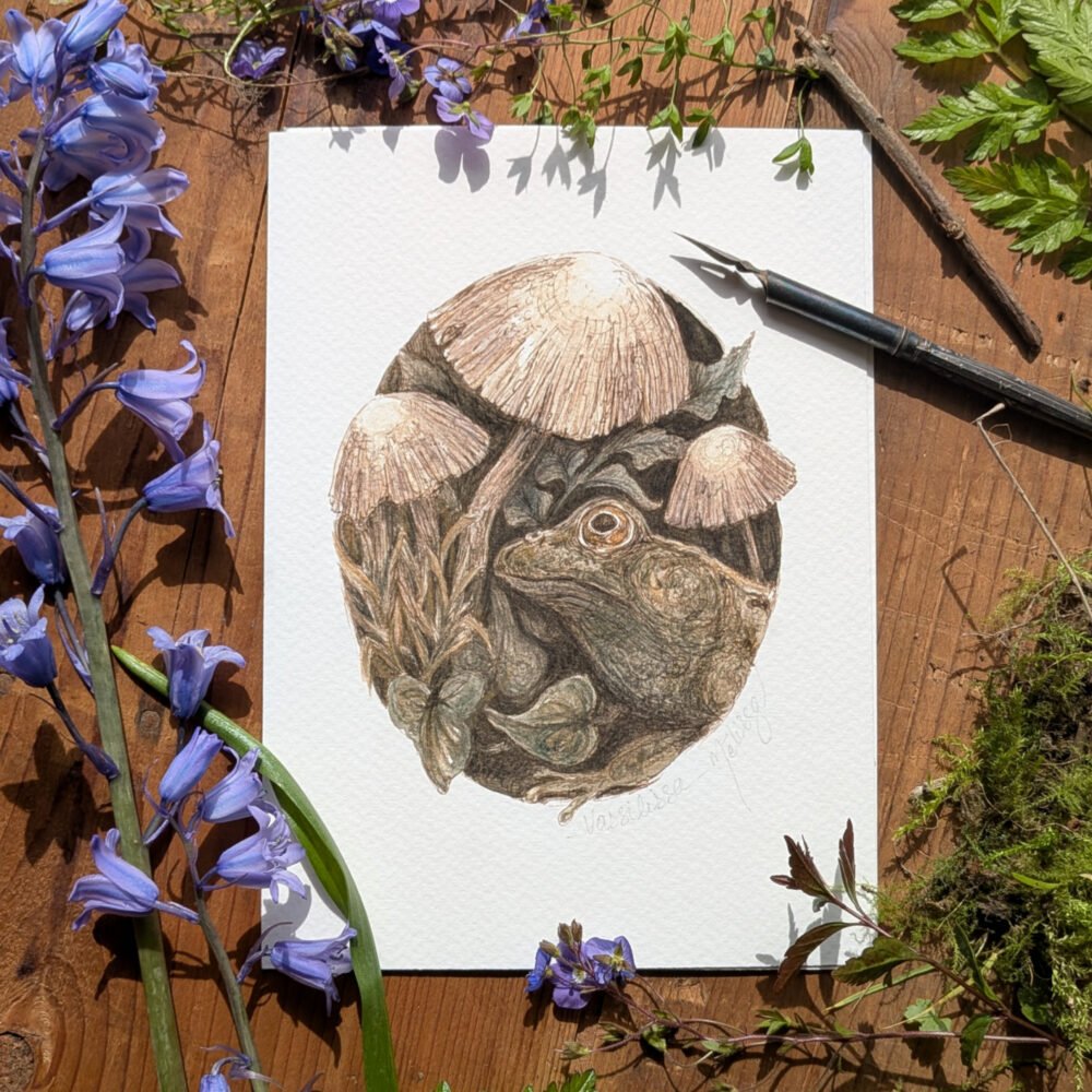 Vassilissa, princesse grenouille – illustration nostalgique à la plume et aquarelle