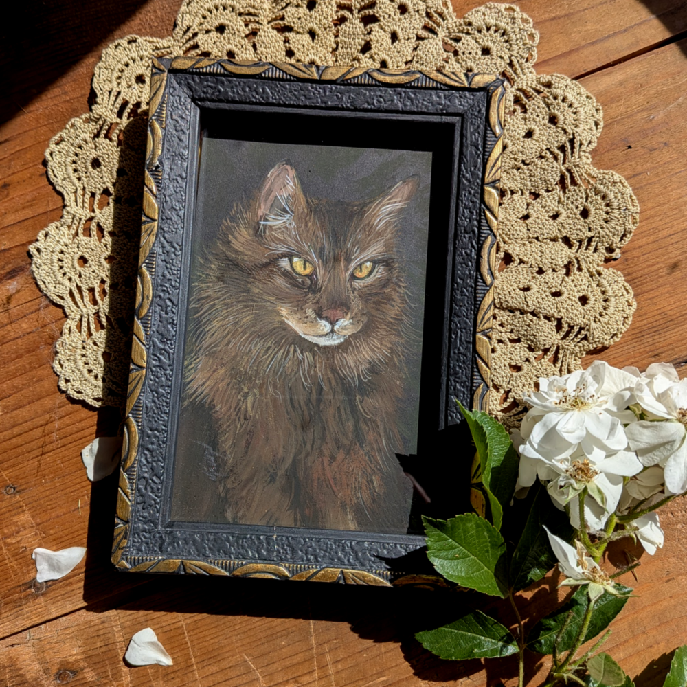 Reine – chat, gouache et cadre ancien