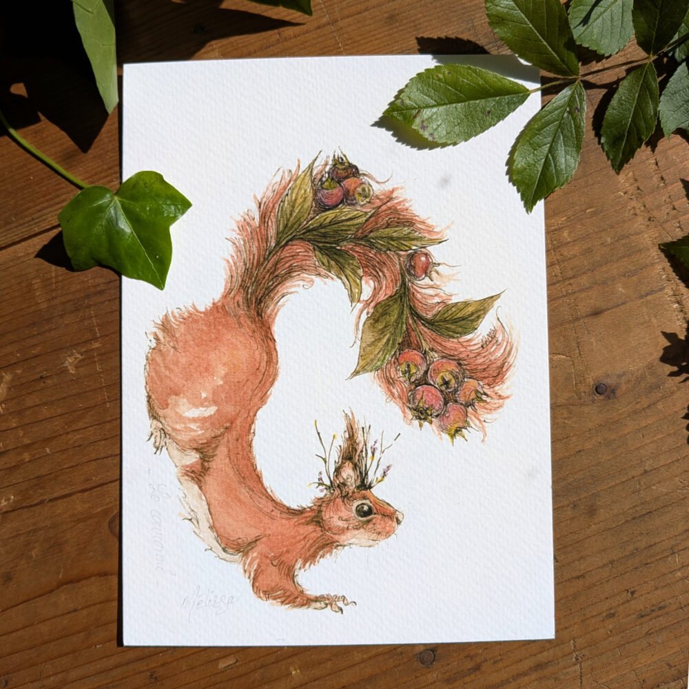 Le couronné – dessin à la plume et aquarelle