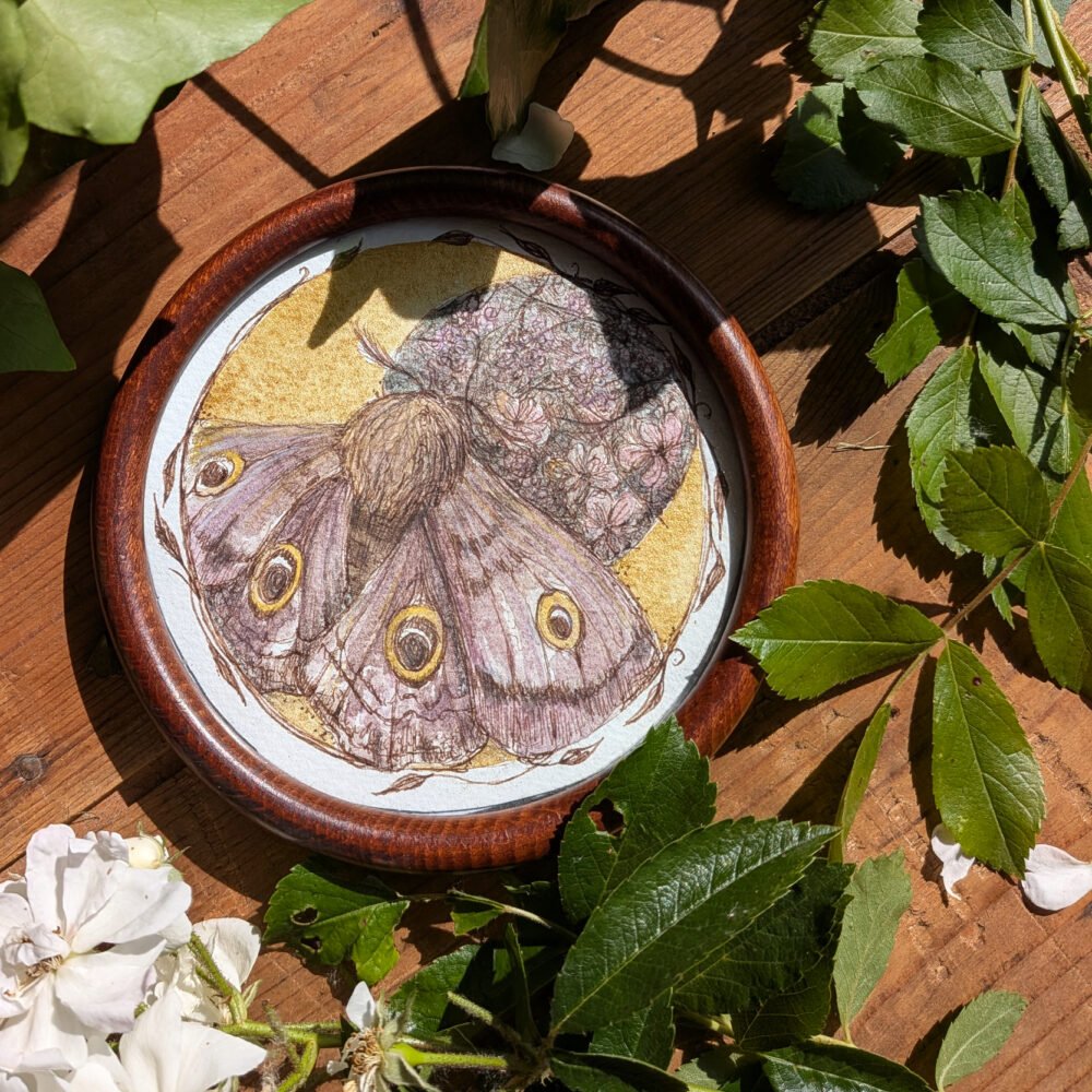Rendez-vous sur la lune – dessin aquarellé d&rsquo;un papillon fleuri –