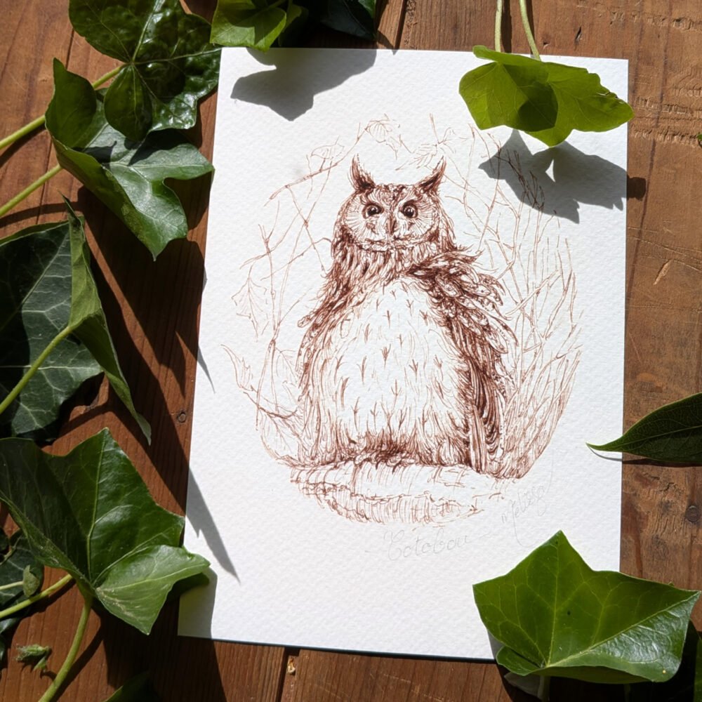 Totobou. Dessin d&rsquo;un hibou japonais.