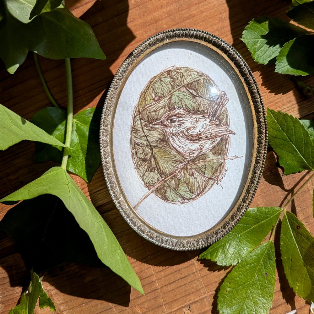 Entre feuilles ou le troglodyte mignon – aquarelle